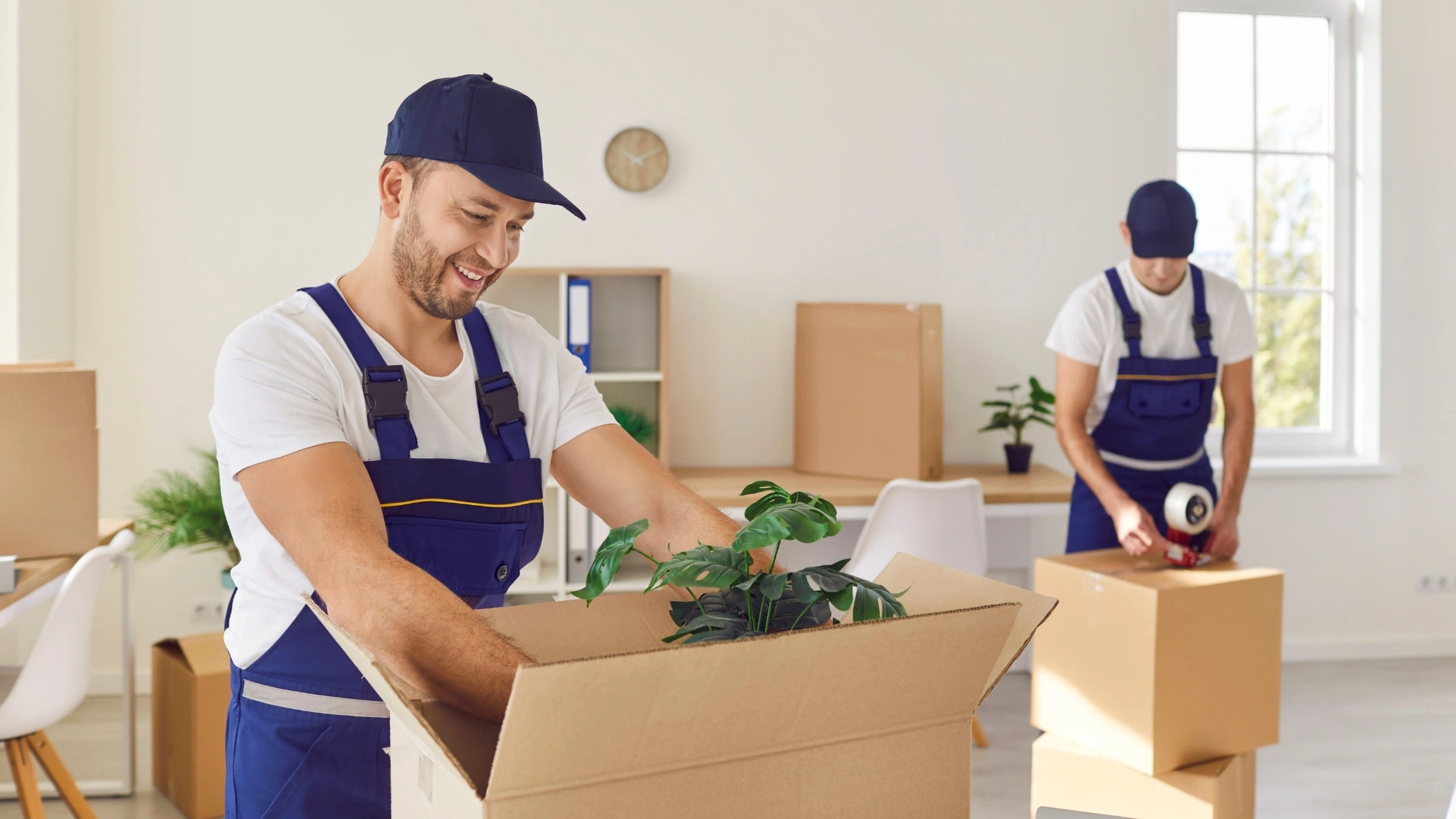 International Moving Services in Punjab 